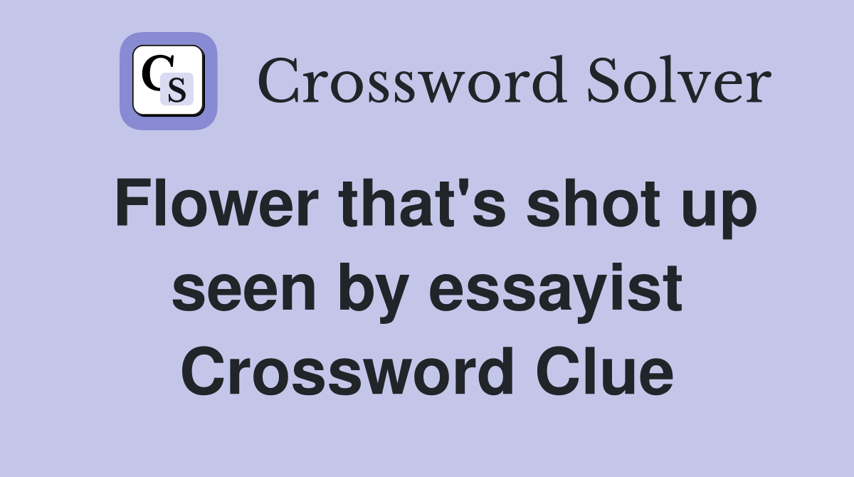 Flower that's shot up seen by essayist - Crossword Clue Answers